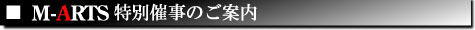 M-ARTS�Î�